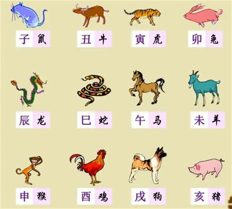 牛生肖|【十二生肖年份】12生肖年齡對照表、今年生肖 